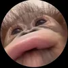 jsh________________