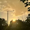 matthewcallery12