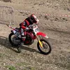 mcd_20