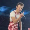 harrys.fann
