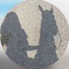 _webb.matii_