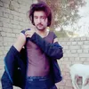 saeedsario4