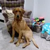 maureendixon60