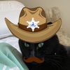cowboybeepbopbop