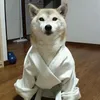 xabi
