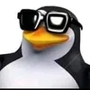 ordinarypenguin