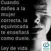 betlu_jav