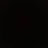 anthony_2907
