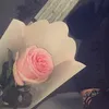 zz_ml5