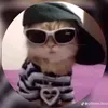 joeldiogofiogueiredo
