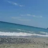 carminelamacchia83
