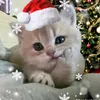 its.vduong07