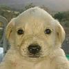 user20041125_