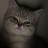 its_graa