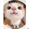 santty_m.7