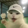 hjzthervxx
