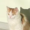 vinishko_parara