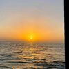 hm_56466467