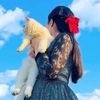 *🕊️⃝🌸𓆩𝑷𝑬𝑺𝑯𝑶⍣͢ 🩷⃝🧸*