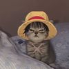 lord_621