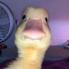 707_65