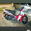 bidinoneten5