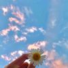 kristine.e.h