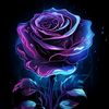 user2539164540702