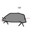 ur_f4v_rat
