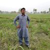 malik.ak.aulakh