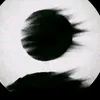 starrvurz