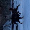 ranja_eq
