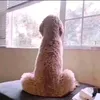alexhatesyoulmaoo
