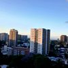 rigobertomartin52