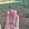 nina247473
