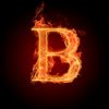 btx_24