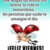 ruthbocanegrao