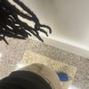 username_notfound750
