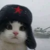 gwensjourney_05