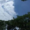 as_ing01