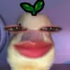 urboy_toto
