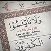 mfschannel522