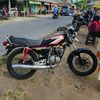 pinno241