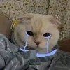 meomeomeomeo123456789