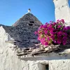 dametapa