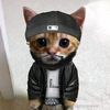 axelin_okam