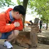 toitungtang1