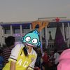 antnut8778