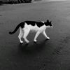 iky_cans04