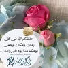 fox_iqq